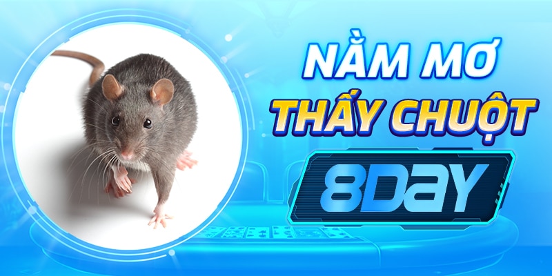 Nằm mơ thấy chuột 8day: Ý nghĩa giấc mơ và lời khuyên từ chuyên gia