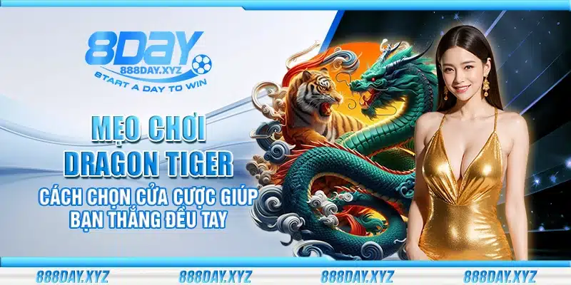 Mẹo chơi Dragon Tiger – Cách chọn cửa cược giúp bạn thắng đều tay