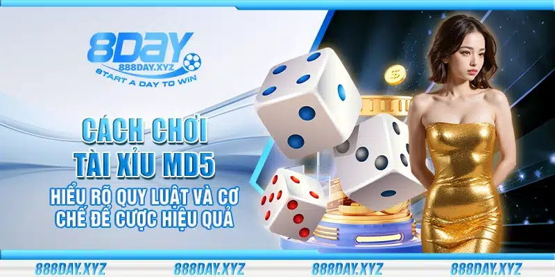 Cách chơi Tài Xỉu MD5 – Hiểu rõ quy luật và cơ chế để cược hiệu quả