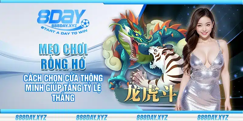 Mẹo chơi Rồng Hổ – Cách chọn cửa thông minh giúp tăng tỷ lệ thắng