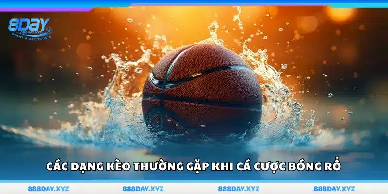 Những dạng kèo trong cá cược bóng rổ