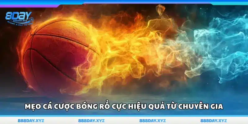 Bí quyết cá cược bóng rổ thành công từ các chuyên gia