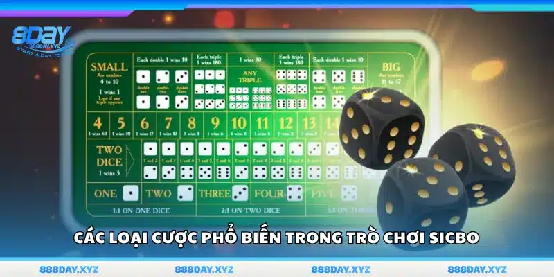 Những hình thức cược phổ biến trong Sicbo