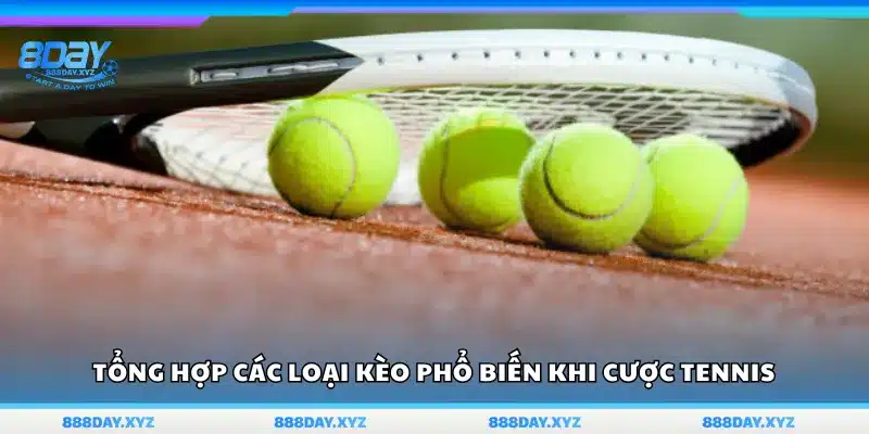 Những kiểu cược được ưa chuộng trong Tennis