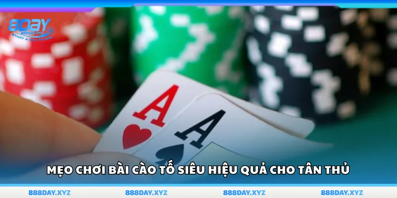 Mẹo chơi bài Cào Tố siêu hiệu quả dành cho người mới