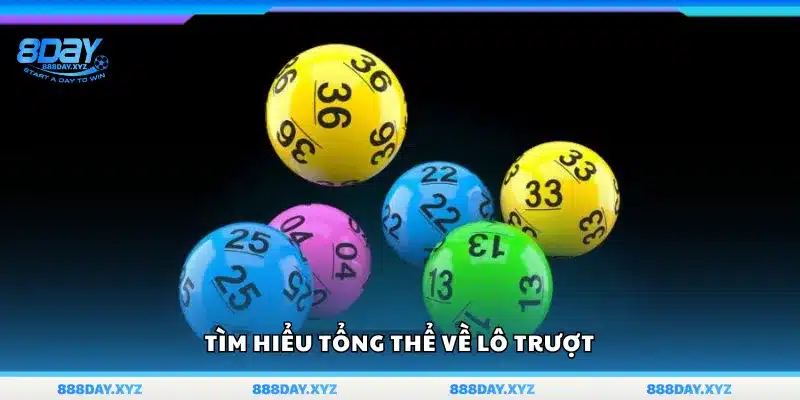 Khám phá toàn diện về lô trượt